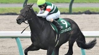 【次走】京成杯AH2着のコントラチェックは福島記念を視野