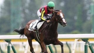 【アルテミスS前日オッズ】ベルクレスタとフォラブリューテが2.6倍で並ぶ