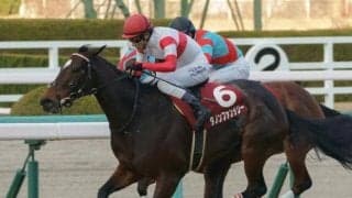 【スワンS前日オッズ】ダノンファンタジーが2.9倍で1番人気