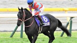 【天皇賞・秋前々日オッズ】コントレイルが1.9倍で1番人気、3頭が抜けた支持を集める