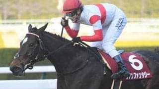 【スワンS予想】今年は阪神開催！ 古馬よりも3歳馬に注目か!?/JRAレース展望