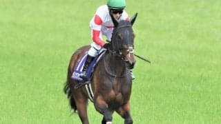 【スワンS予想】内回りコース使用、マイルCSとは切り離して考えたい一戦