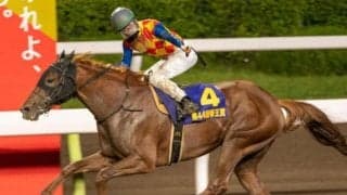 【金沢・JBCクラシック枠順確定】テーオーケインズは4枠4番、カジノフォンテンは7枠9番