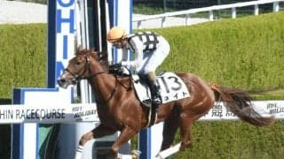 【阪神3R新馬戦結果】コパノリッキー産駒ネイトが2番手から押し切る