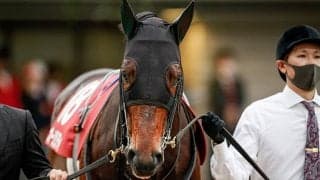 【アルゼンチン共和国杯想定】前年覇者オーソリティ、前走丹頂S2着ボスジラなど16頭