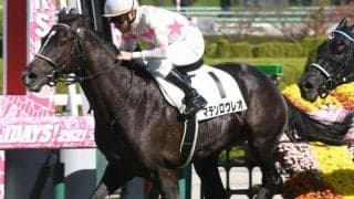 【阪神5R新馬戦結果】マテンロウレオが内を突いて追い比べを制す