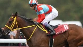 【みやこS想定】昨年覇者クリンチャー、一昨年覇者ヴェンジェンス、初ダートのダンビュライトなど20頭