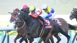 【スワンS結果】ダノンファンタジーが差し切って重賞6勝目！牝馬のワンツー
