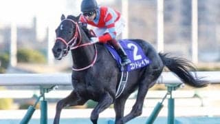 【天皇賞・秋前日オッズ】三冠馬コントレイルが2.6倍で1番人気、グランアレグリアが2.9倍で続く