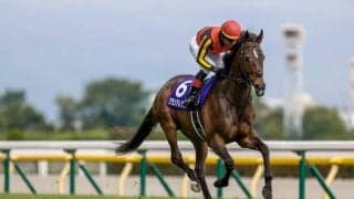 【WIN5予想】天皇賞(秋)は前走で先行していた馬が不振
