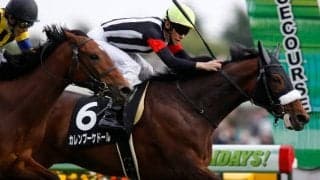 【天皇賞・秋予想】三冠馬か、マイル女王か、3歳馬か!? 三強対決に割って入る伏兵馬は…/JRAレース展望
