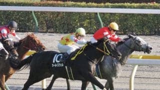 【紅葉S】アオイクレアトールが最内を強襲