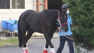 【天皇賞・秋】コントレイル矢作師「ダービーのようなレースをしてくれたら」/ねぇさんのトレセン密着