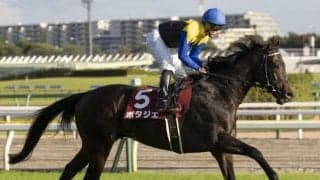 【天皇賞・秋】ポタジェ陣営「器用な馬。まだまだ伸びしろがある」/ねぇさんのトレセン密着