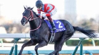 【本日の注目ポイント】天皇賞・秋でコントレイルら好メンバーが激突！