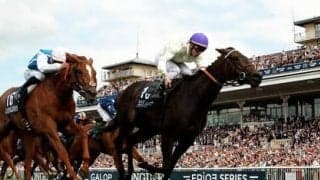 フランスで８戦８勝という名牝の弟、友道厩舎期待のアーティットがまもなくデビュー