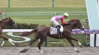 【東京4R新馬戦結果】エスポワールシチー産駒ペイシャエスが競り合いを制して快勝