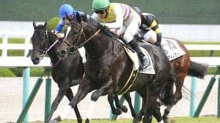 【阪神4R新馬戦結果】セイウンハーデスが2番手から押し切り人気に応える