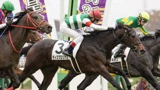 【東京5R新馬戦結果】ティズグロリアスが追い比べをハナ差制してデビュー勝ち