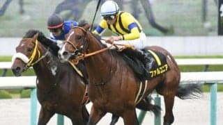 【カシオペアS結果】2番人気ファルコニアが内から抜け出してオープン初勝利