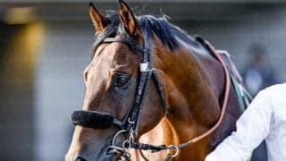 【天皇賞・秋結果】エフフォーリアが3強対決を制す！ シンボリクリスエス以来19年ぶり4頭目の3歳馬V