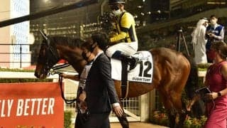 【BCマイル 出走見込馬】日本馬ヴァンドギャルド、アグネスゴールド産駒インラブなど