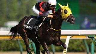 【JRA】2021年新潟リーディングは菅原明良騎手が圧勝！2位に12勝差の33勝