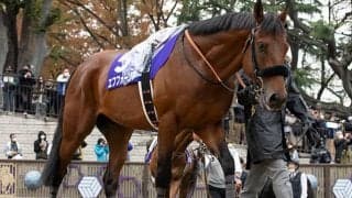 【天皇賞・秋】ベストターンドアウト賞はエフフォーリアが受賞