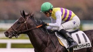 【新馬/阪神4R】シルバーステート産駒 セイウンハーデスがデビューV