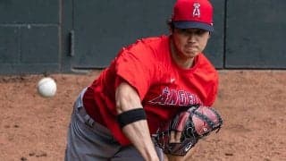 【MLB】「ブルペン」が「アーム・バーン」になる!?　動物保護団体が名称変更を提案