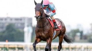 【JRA】木村哲也調教師の調教停止期間が満了、岩戸孝樹厩舎から管理馬が再転厩