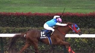 【河口湖特別】ルメール騎乗 アドマイヤルプスが3馬身半差で快勝