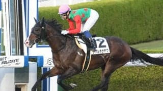 服部利之調教師がJRA通算200勝達成、阪神12Rのシゲルホサヤクで