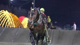 【帯広・北見記念】アオノブラックが接戦を制し重賞7勝目を飾る