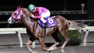 【高知・黒潮ジュニアチャンピオンシップ】マリンスカイがレースレコードで圧勝