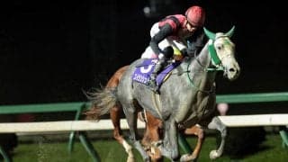 【盛岡・南部駒賞】北海道代表・エイシンシュトルムが完勝！