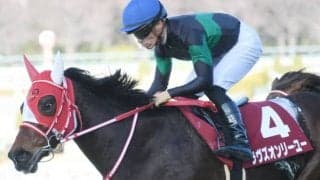 JRAは4重賞、地方は水曜日にJBC、海外ではブリーダーズCが開催/今週の競馬界の見どころ