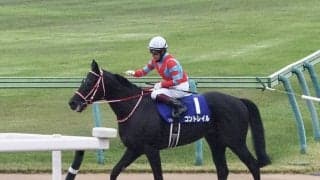 【天皇賞・秋】福永「内にもたれる感じに…」レース後ジョッキーコメント