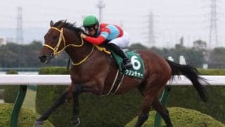 【みやこS登録馬】クリンチャーなど19頭