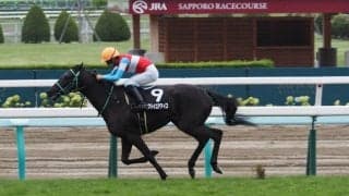 【京王杯2歳S登録馬】ラブリイユアアイズなど16頭