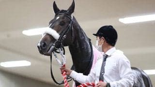 【アルテミスS】売上は28億4083万3200円で昨年からおよそ1.3億円の減少