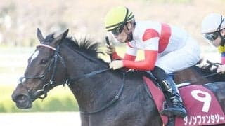 【スワンS】売上は36億6638万1500円で昨年からおよそ3千万円の増加