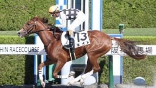 【新馬/阪神3R】コパノリッキー産駒 ネイトがデビューV