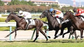 【新馬/阪神5R】ハーツクライ産駒 マテンロウレオがデビューV