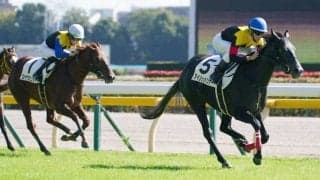 【新馬/東京4R】リオンディーズ産駒 アインシュペンナーがデビューV