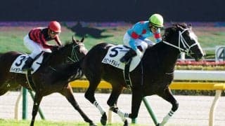 【新馬/東京5R】断然人気 カミニートデルレイがデビューV