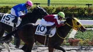 【新馬/東京6R】マクフィ産駒 ヴァルツァーシャルがデビューV