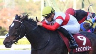 【スワンS】川田「ここを勝ち切れて何よりです」ダノンファンタジーが重賞6勝目