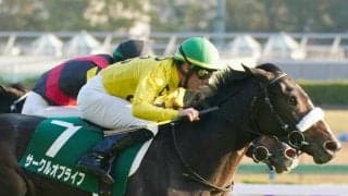 【アルテミスS】デムーロ「本当に期待しています」サークルオブライフが重賞初V