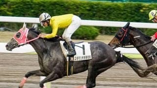 【地方競馬】大井3R・スモモモモモモモモが初勝利！